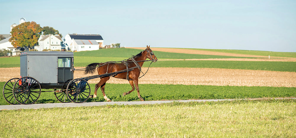 How And Why Do The Amish Weld?