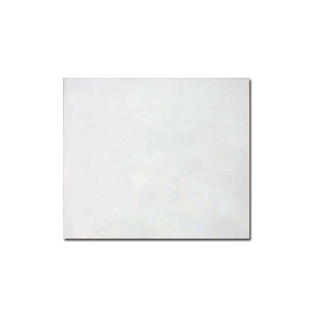 Clear Cover Lens 4.5 X 5.25 Pkg/10