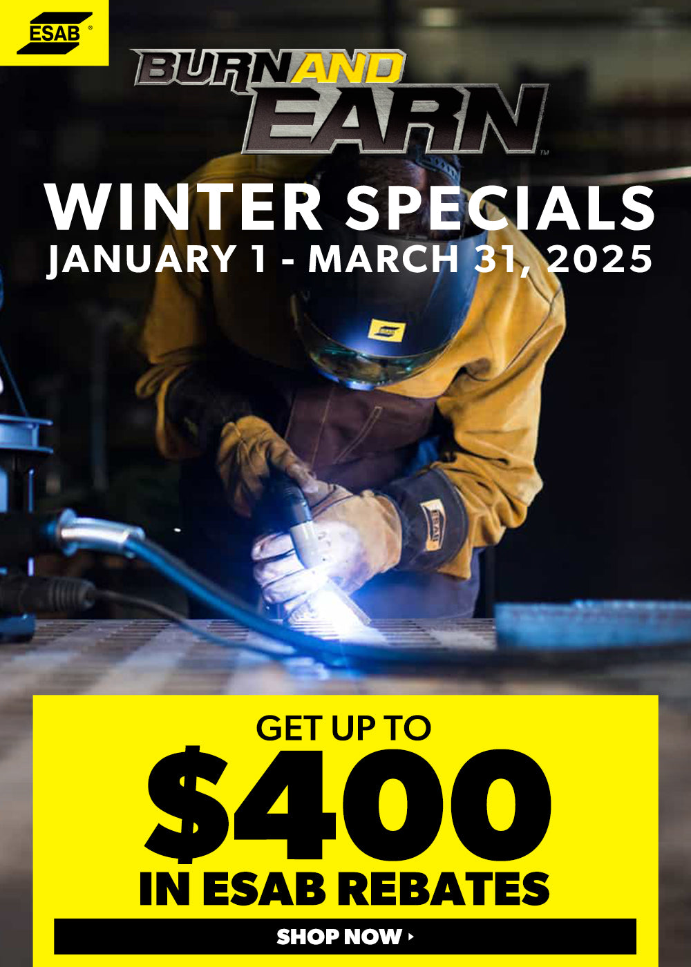 esab rebates burn and earn 