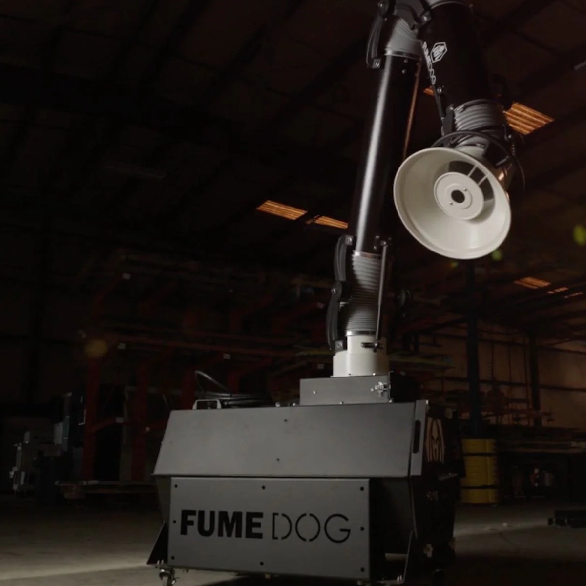 fume dog